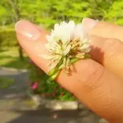 ブルーインパルス