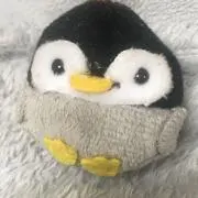 マキタケの画像