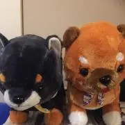 メロン*\(^o^)/*の画像