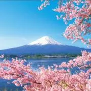 ✾haha✾の画像