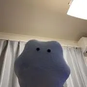 waiの画像
