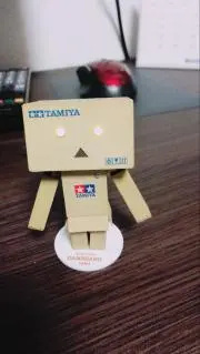 kiwanagの画像