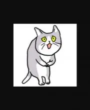 シュレキャットの画像