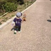 ラルフの画像
