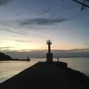かんの画像