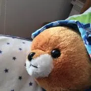 まめ太郎の画像