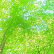 ひふ美Labo