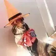 新品社交ダンスウェア！プレタちゃん店の画像