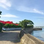 LS721の画像