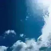 緑茶の画像