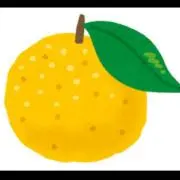 YUZU