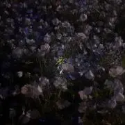 りぼんの画像