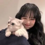 9p5kの画像