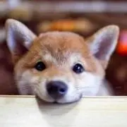 ✨✨るぅ✨✨✨