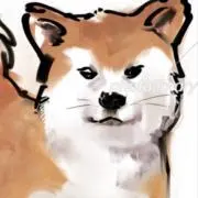 ⭐︎の画像