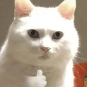エリン