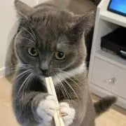 やなちゃん