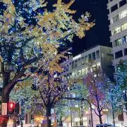 くみ☆即購入OKの画像