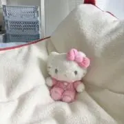 せせせいやの画像
