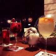 ponponponの画像