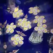 こしょの画像