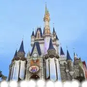 ミルクティーの画像