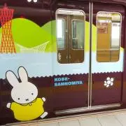hamikosaの画像