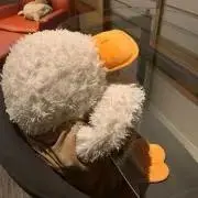 ぬんの画像