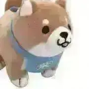 mi プロフ必読の画像