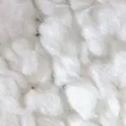 とうふの画像
