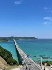 taka1の画像