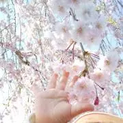 *みな*の画像