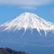 こゆず (プロフ一読お願いします。)の画像