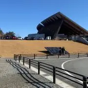 Yochiの画像