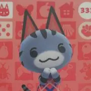 ころわんの画像