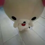 あろま