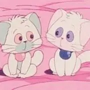 仙豆♡の画像