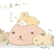 きゅる