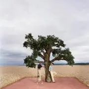 SEの画像