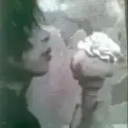 novaの画像