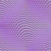 みの画像