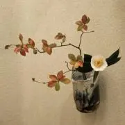 めるきちの画像