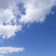 しゅねコ