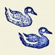 ヨル【コメ前にプロフ】