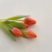 ままい