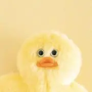 Dioの画像