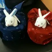 アイバンの画像