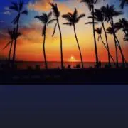プロフ必読❤️24時間以内発送の画像