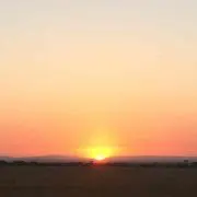 えーぞの画像
