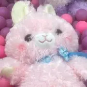 うさ 断捨離の画像